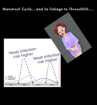 Menstrual cycle and link to Thrush