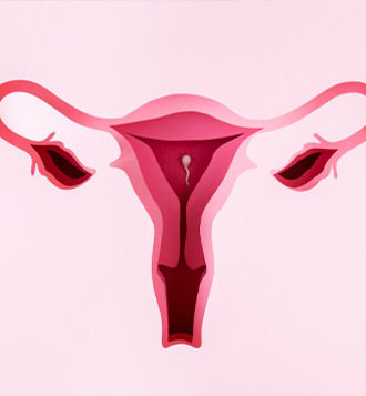 Polyp Uterus and Fertility- A Comprehensive Guide to Your Reproductive Health