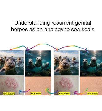Understanding Genital Herpes Recurrent Outbreaks